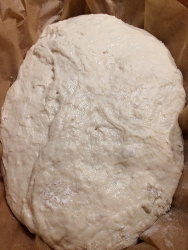 NK Bread Flour   Einkorn4_ proofed