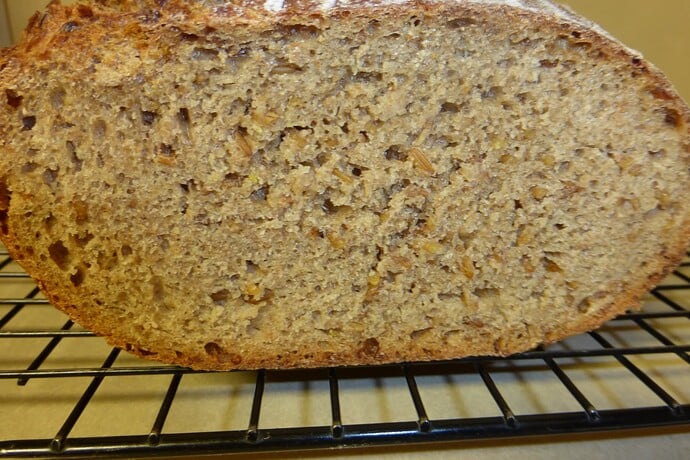 Sprouted Kernza Crumb