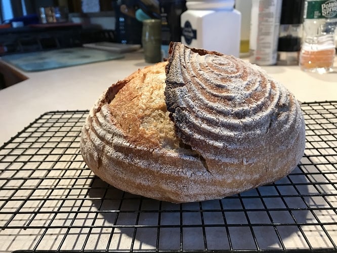 How much faster a sourdough loaf cooks in a CI dutch oven than aluminum  after 1 hour preheat at 500F and 30 min with lid on : r/castiron