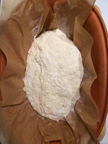 NK Bread Flour   Einkorn2_ 2hr begin proofing