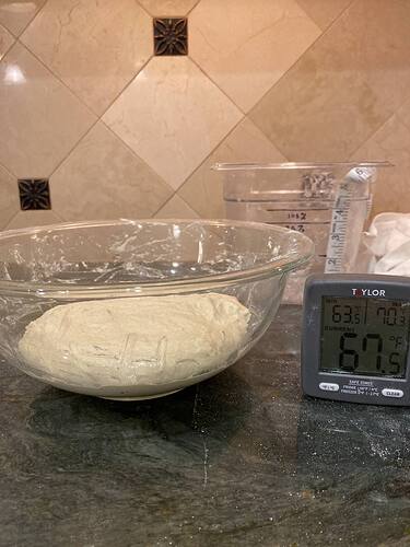 8 Dough after 25 minutes rest from 1st S&F