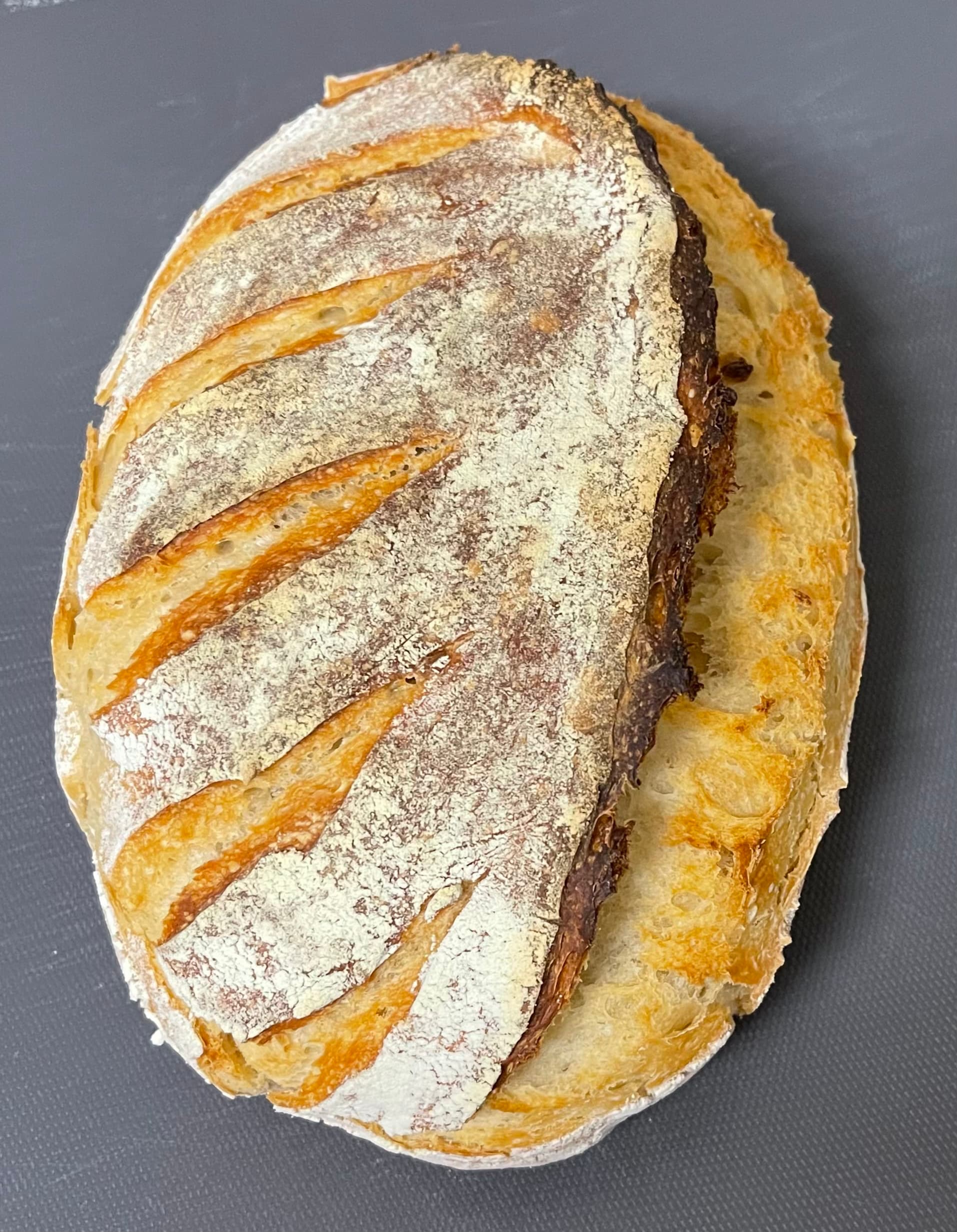 Breadtopia Clay Baker — Batard – Breadtopia