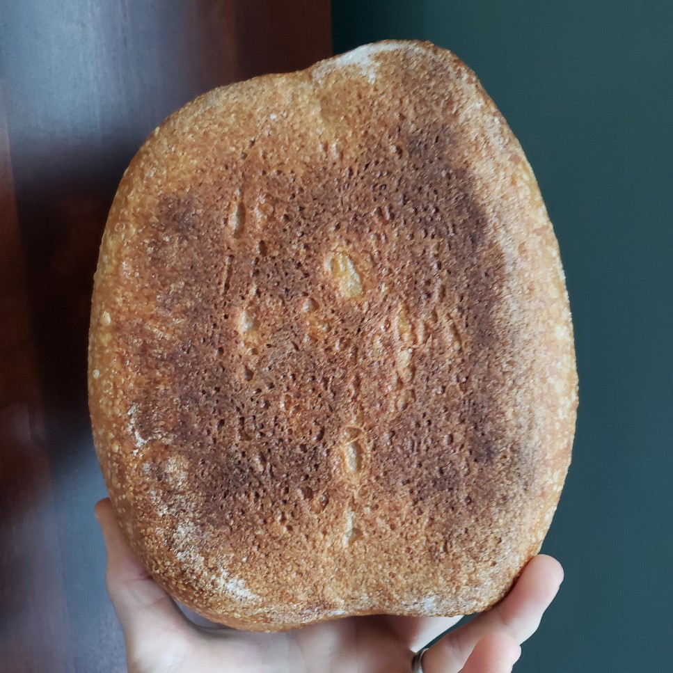 Challenger Bread Pan Review - Forbes Vetted