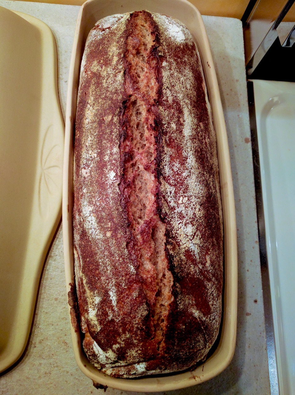 Breadtopia Cloche Bread Baker — Round – Breadtopia
