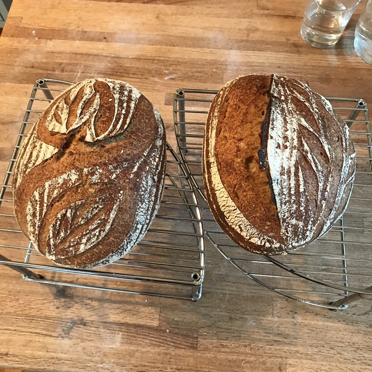 FibraMent Oven Baking Stones – Breadtopia
