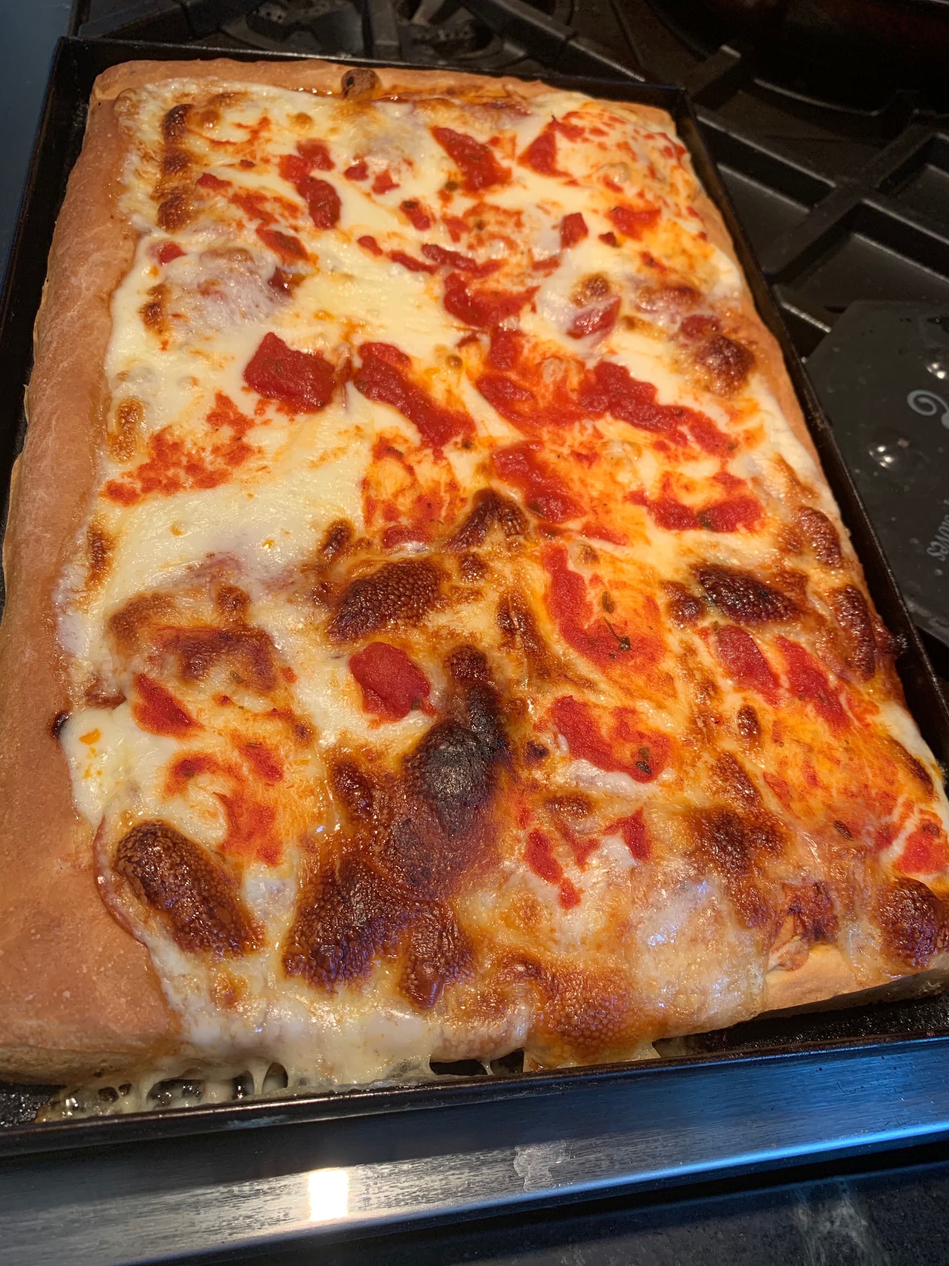 Sourdough Pan Pizza (Detroit & Sicilian Styles) – Breadtopia