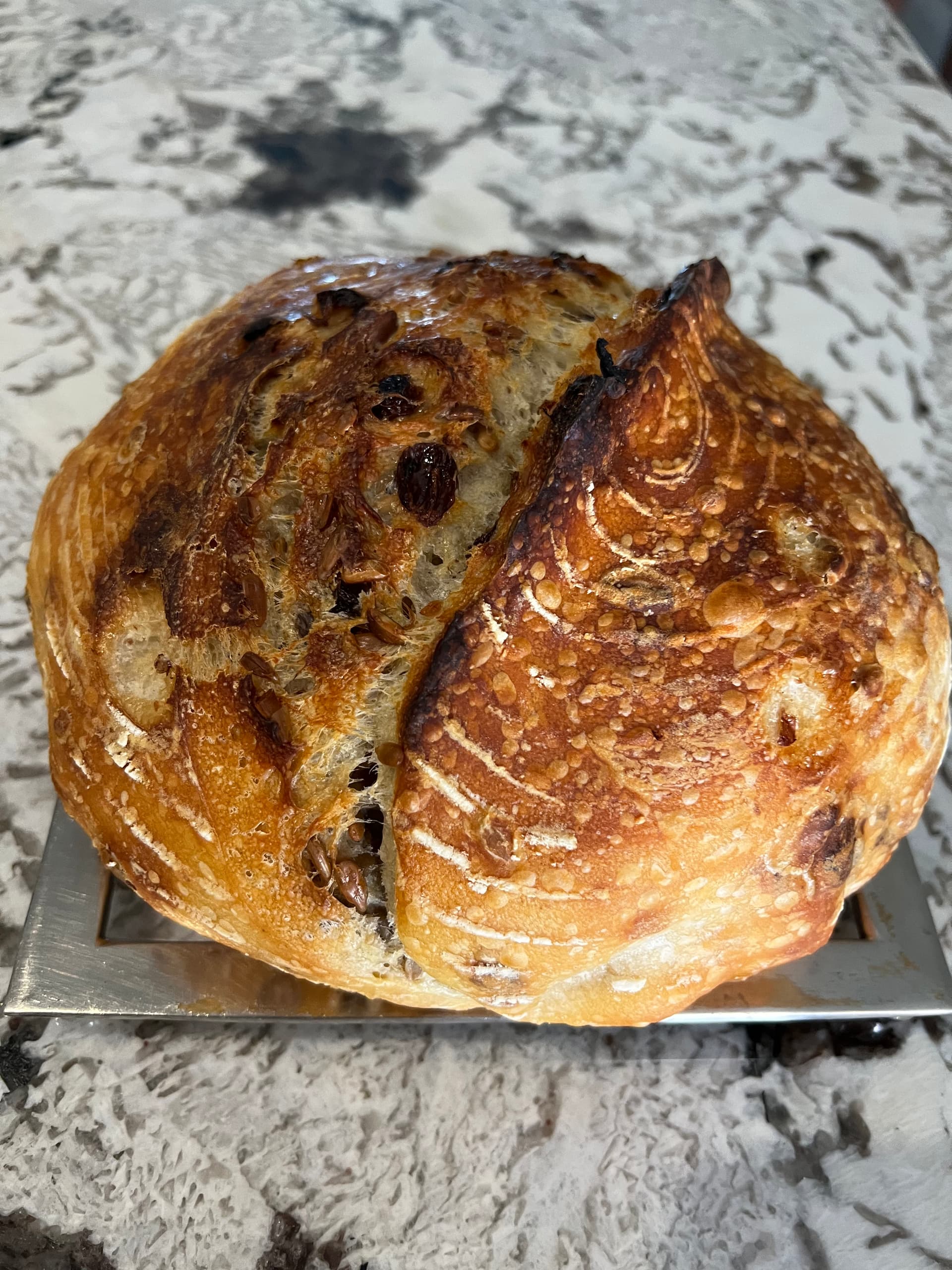 Breadtopia's Choice Kitchen Scale – Breadtopia